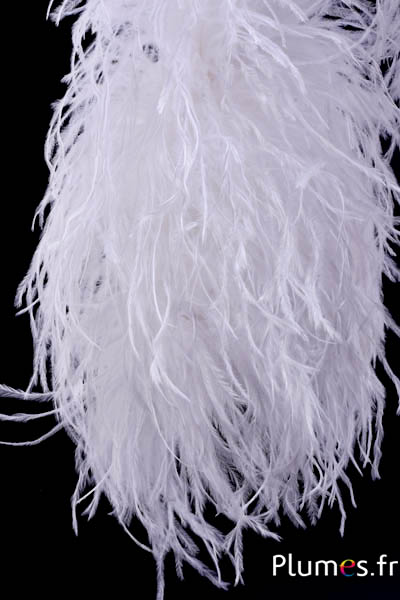 Autruche mèche luxe - 10 plis - blanc